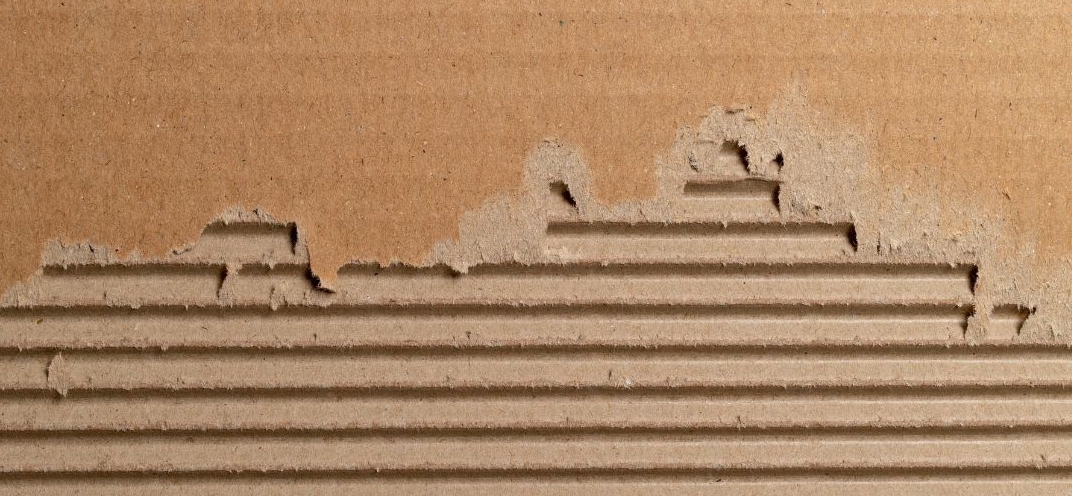 PAPER